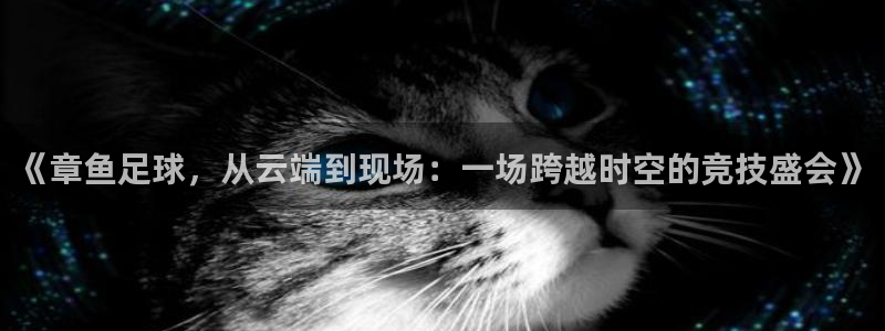 《章鱼足球，从云端到现场：一场跨越时空的竞技盛会》