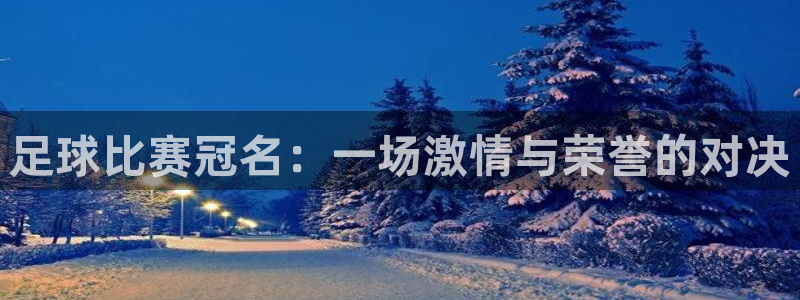  足球比赛冠名：一场激情与荣誉的对决