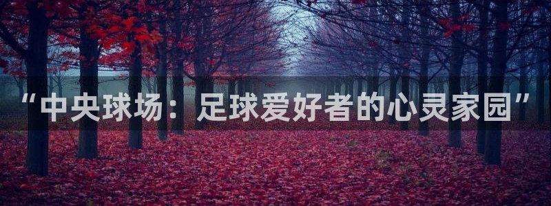  “中央球场：足球爱好者的心灵家园”