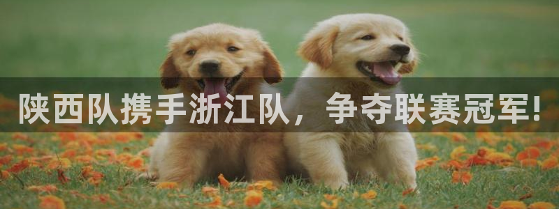 陕西队携手浙江队，争夺联赛冠军!