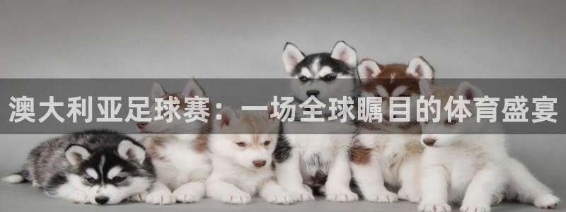 澳大利亚足球赛：一场全球瞩目的体育盛宴
