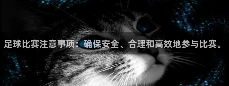 足球比赛注意事项：确保安全、合理和高效地参与比赛。