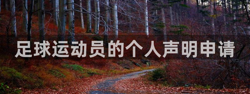 足球运动员的个人声明申请