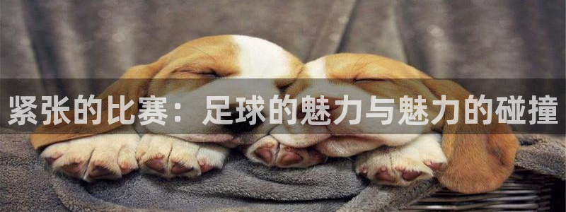 紧张的比赛：足球的魅力与魅力的碰撞
