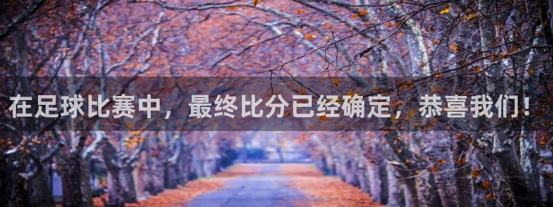 在足球比赛中，最终比分已经确定，恭喜我们！