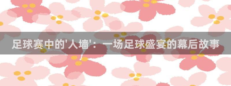  足球赛中的\'人墙\'：一场足球盛宴的幕后故事