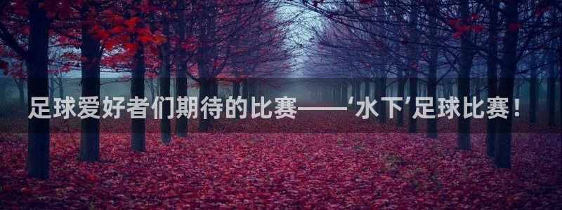 足球爱好者们期待的比赛——‘水下’足球比赛！