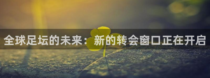  全球足坛的未来：新的转会窗口正在开启