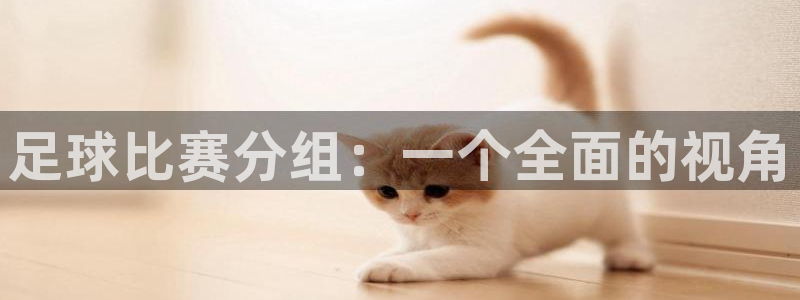  足球比赛分组：一个全面的视角