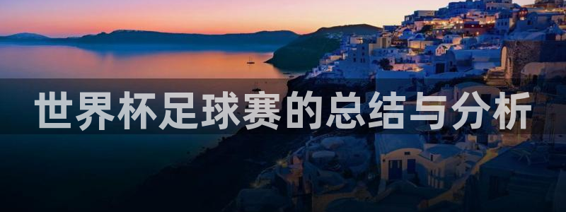  世界杯足球赛的总结与分析