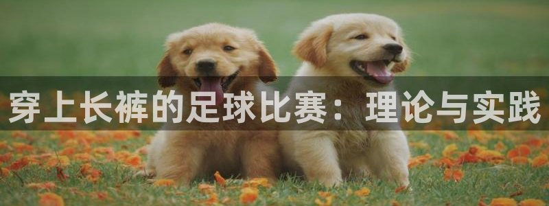  穿上长裤的足球比赛：理论与实践