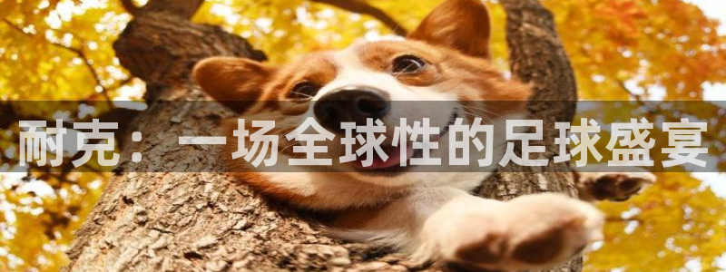  耐克：一场全球性的足球盛宴