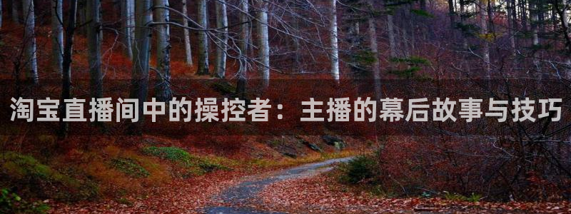 极速体育直播手机：淘宝直播间中的操控者：主播的幕后故事与技巧