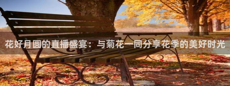 足球直播极速体育：花好月圆的直播盛宴：与菊花一同分享花季的美好时光