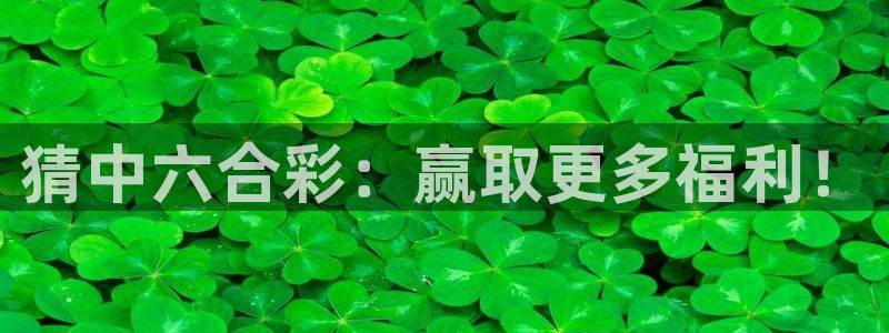 jrs极速体育在线直播观看：猜中六合彩：赢取更多福利！