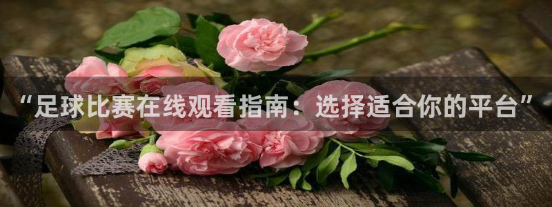 “足球比赛在线观看指南：选择适合你的