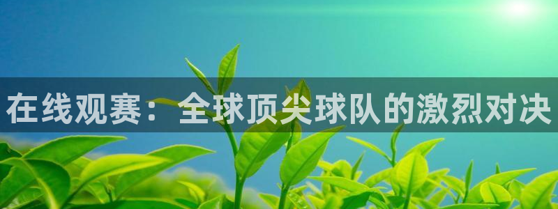 在线观赛：全球顶尖球队的激烈对决