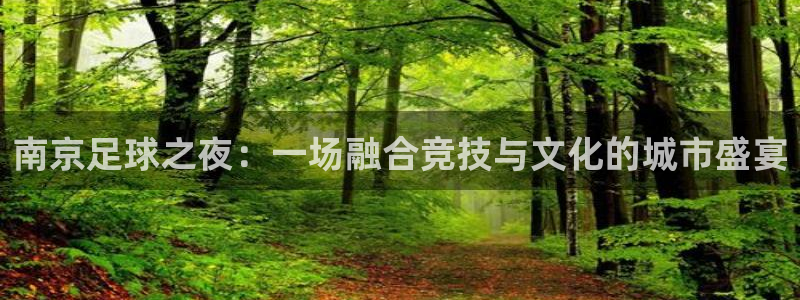 南京足球之夜：一场融合竞技与文化的城