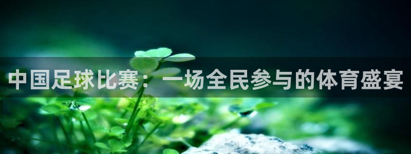 中国足球比赛：一场全民参与的体育盛宴