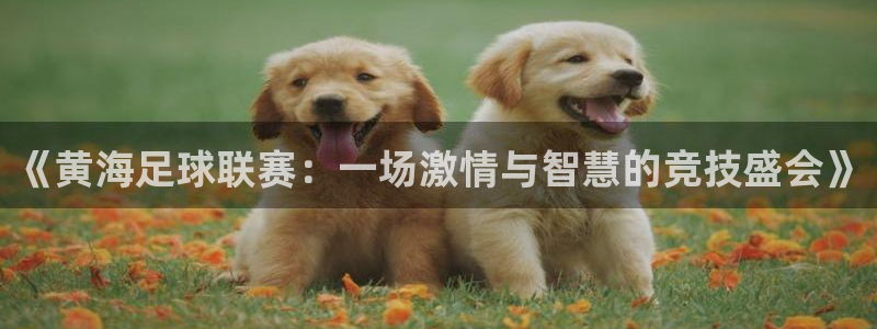 《黄海足球联赛：一场激情与智慧的竞技