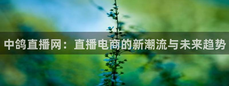 极速体育直播在线观看免费：中鸽直播网：直播电商的新潮流与未来趋势
