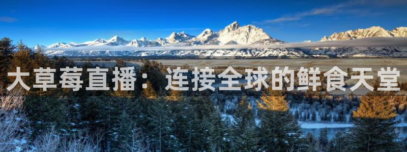 体育直播吧极速体育：大草莓直播：连接全球的鲜食天堂