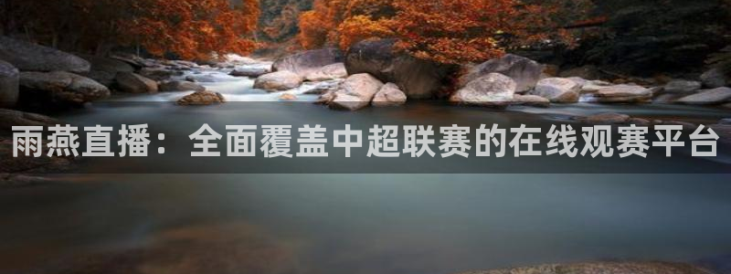 极速直播体育在线观看：雨燕直播：全面覆盖中超联赛的在线观赛平台