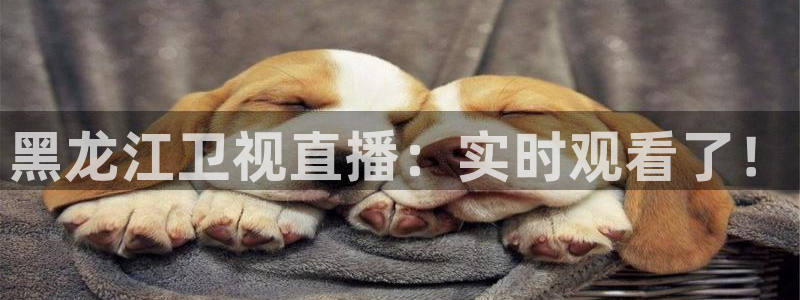 体育直播nba极速直播：黑龙江卫视直播：实时观看了！